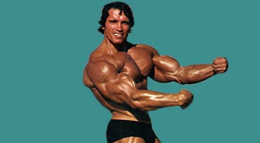 arnold-schwarzenegger-diet-plan-for-bodybuilding-men-s-fit-club