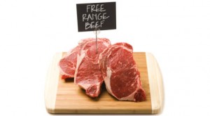 What's the Big Deal About Grass Fed Beef